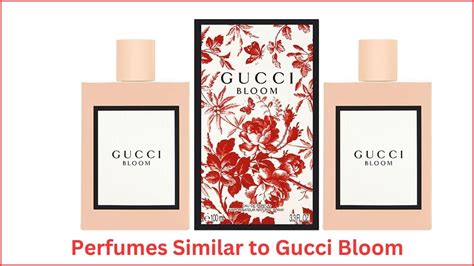 gucci bloom alternative|perfume like gucci bloom.